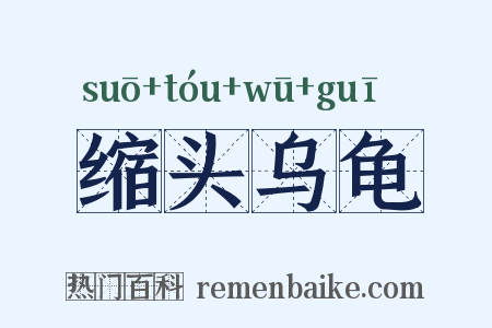 缩头乌龟是什么意思的图片